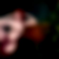 Ava๐ซถ๐ป photo