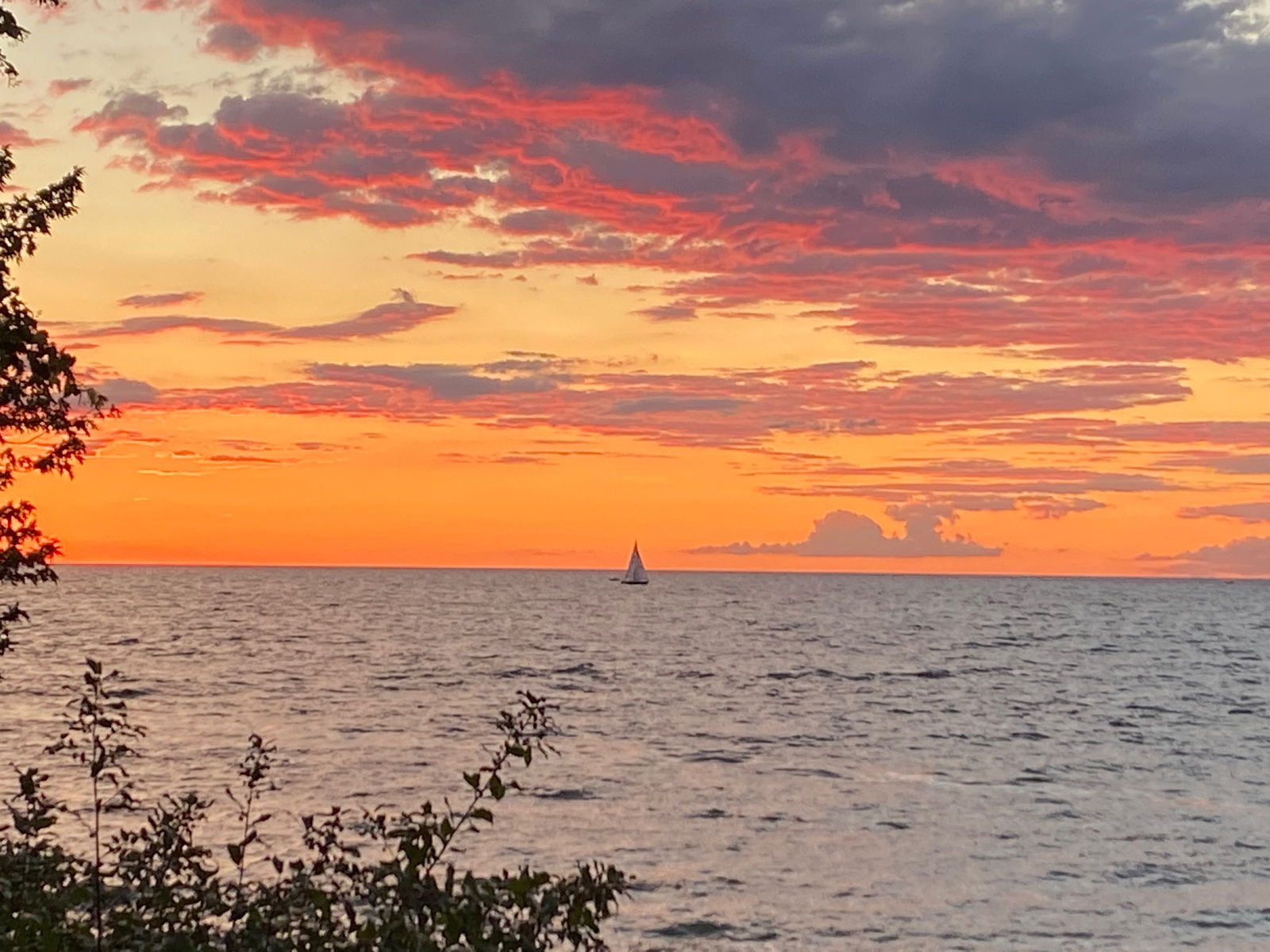 Aurora 🥶😘 photo