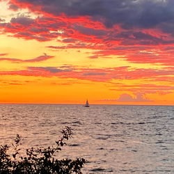 Aurora 🥶😘 photo