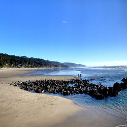 Kinky Cali Guy photo