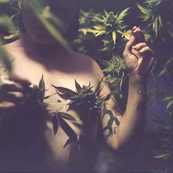 Baby high 🦋🍁 photo