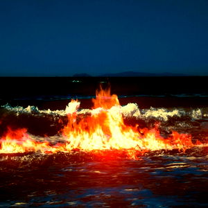 ๐ฆ๐ก๏ธ photo