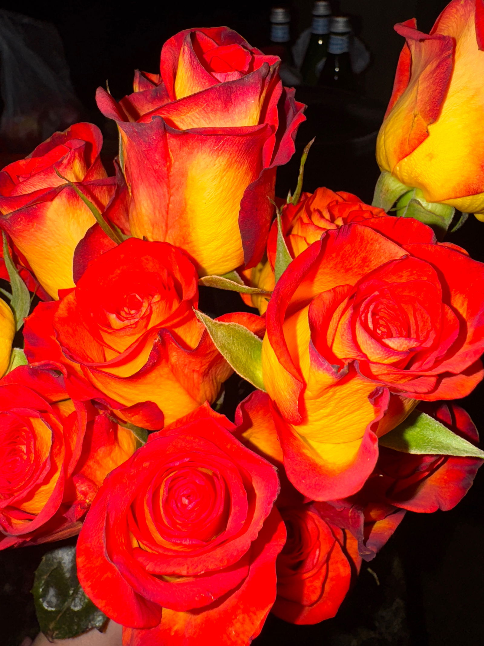 Angel Oceana 🖤 photo