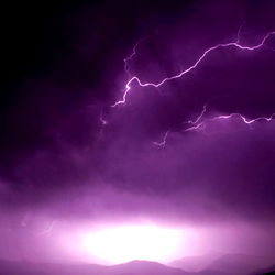 Alessandra 💕 photo