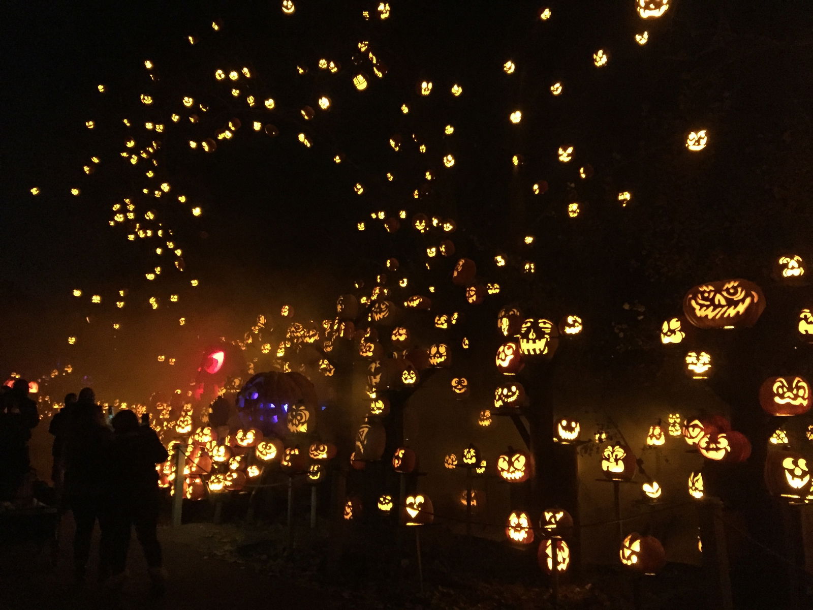 Yourfavoritefuckup photo