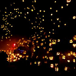 Yourfavoritefuckup photo