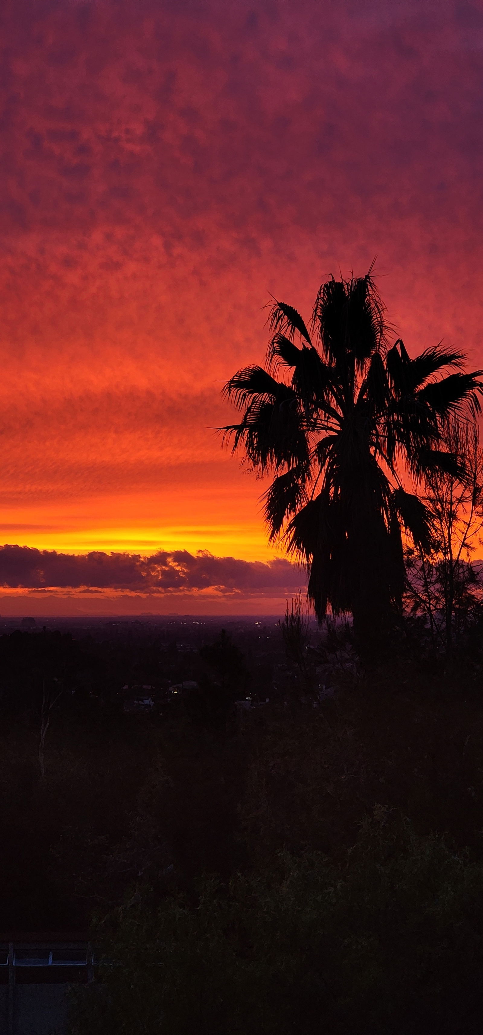 🍯The Wife Next Door🍯 photo