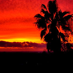 🍯The Wife Next Door🍯 photo