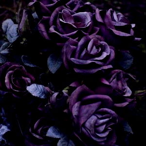 Bat-chan ๐ฆ photo