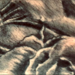 Perrypuffpastry photo