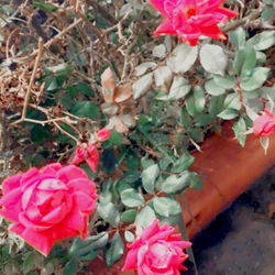 Honeyybunny🍯🍯 photo