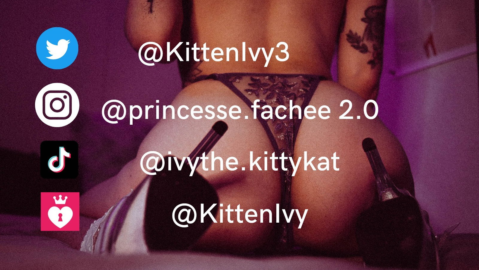KittenIvy Free photo