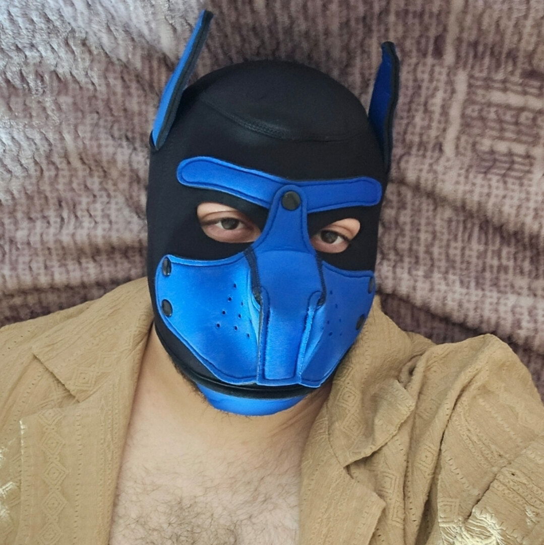 Amputee pup🍆🦿🦿 photo