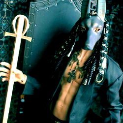 Anubis's Epic Vibes in LA