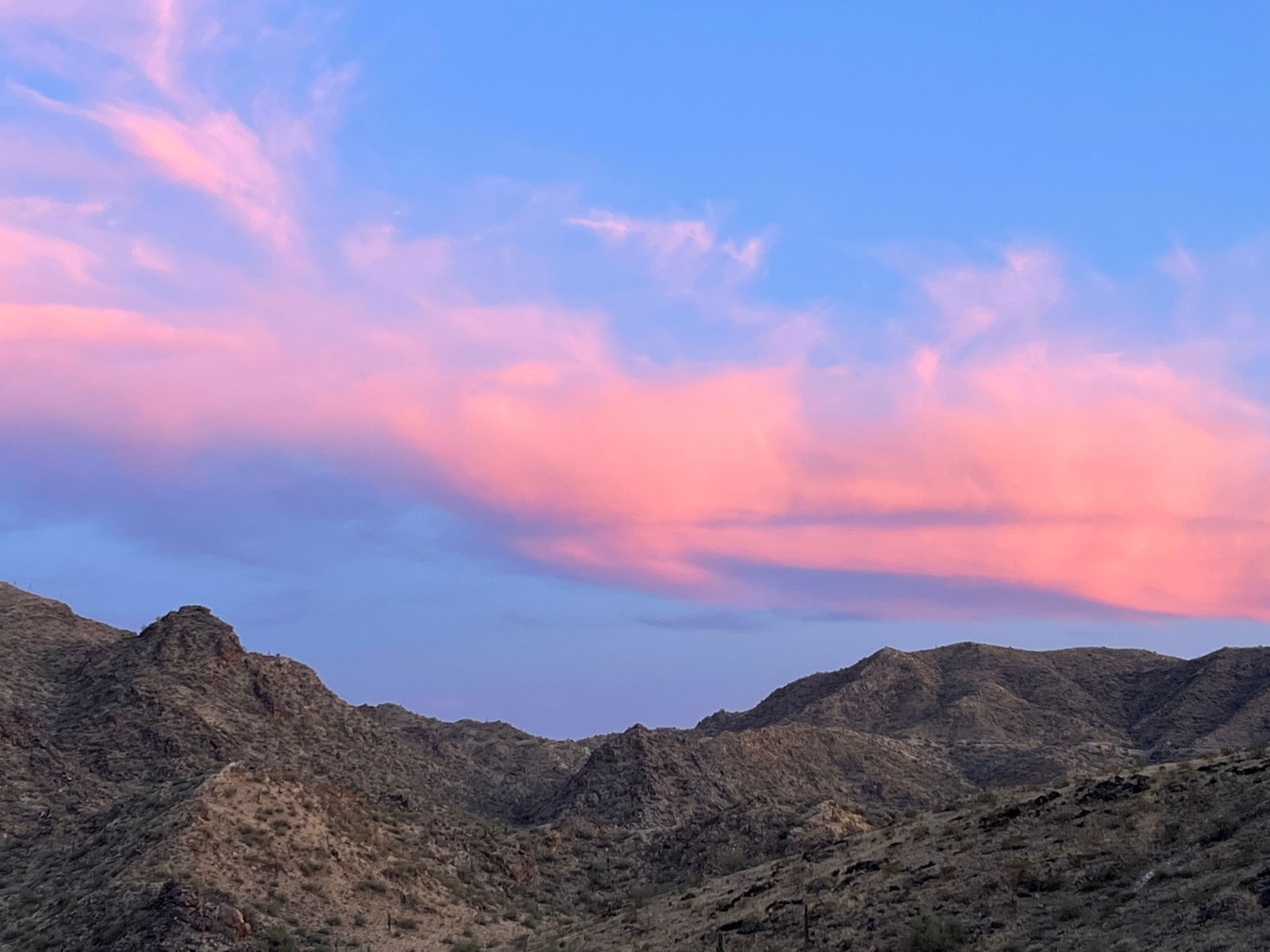 🍄🧚🐍🕺🏻🍃 photo