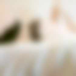 Daisy Marie ๐ผ photo