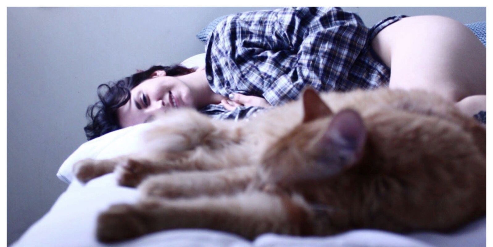 Violeta.violeta photo