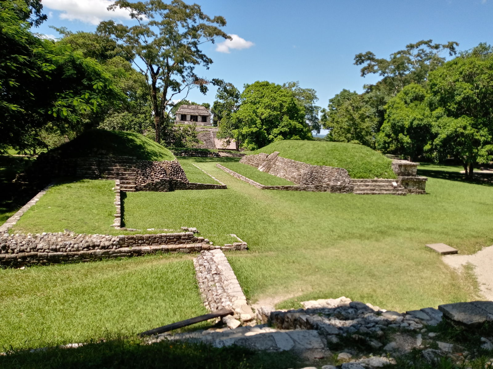 Miguel González photo