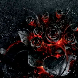 Raith ✨️🌙 photo