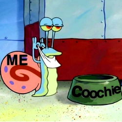 Onlyfans Steven M, Massachusetts