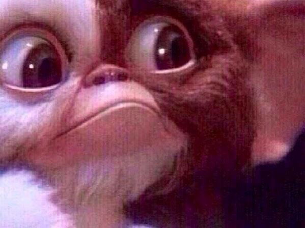 Juicy PapiChulo photo