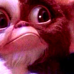 Juicy PapiChulo photo