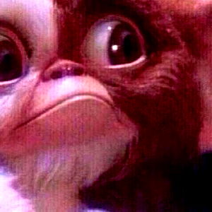 Juicy PapiChulo photo