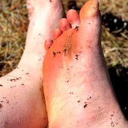 A person's feet with mud and dirt on them, resting by a patch of grass or a small garden area.