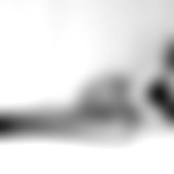 ๐ISABELLA๐ VCALLS ๐ photo