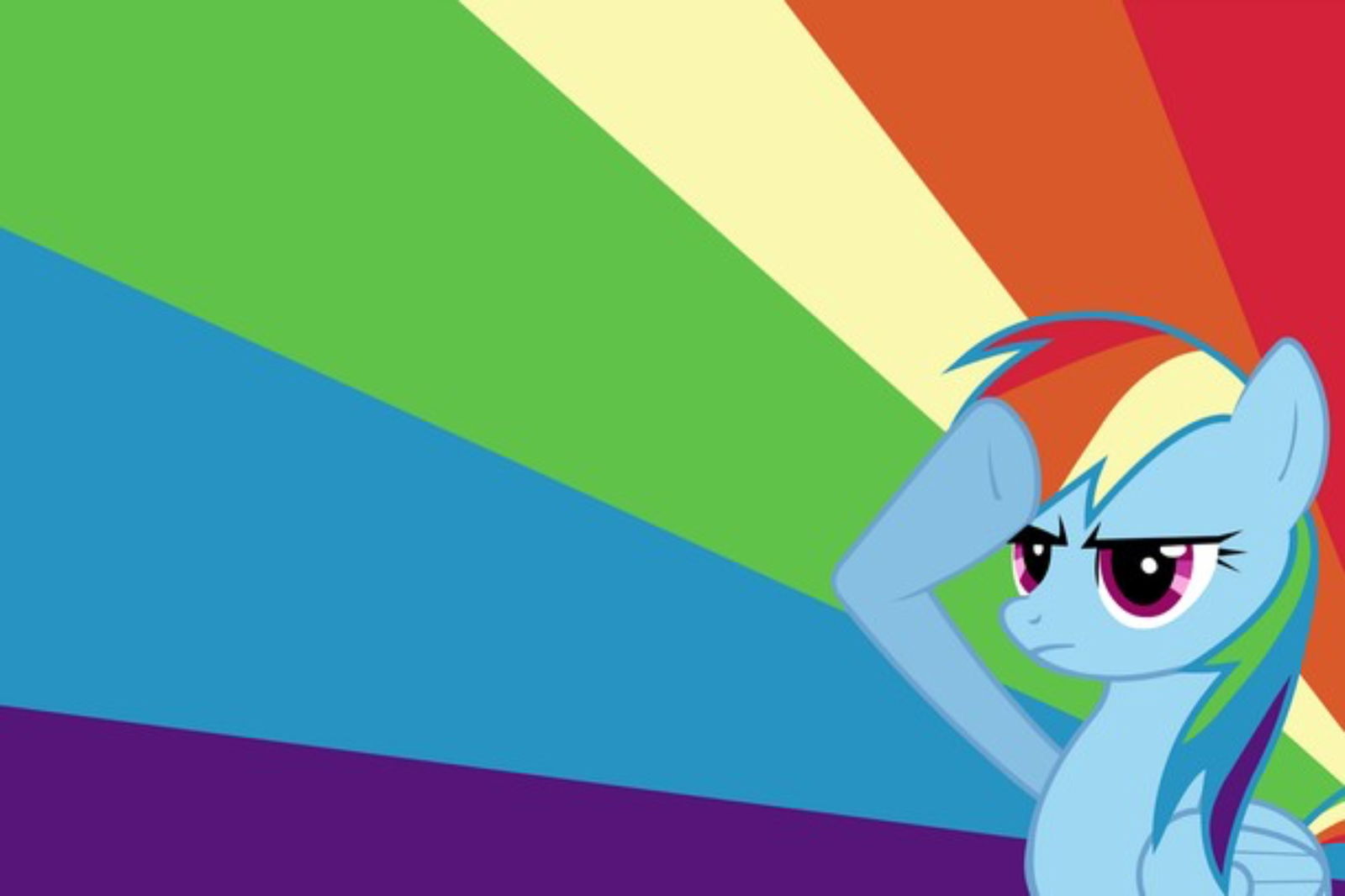 rainbowdash photo