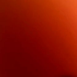 The OnlyFans Model's Room