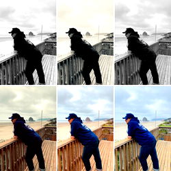 Wild After Work photo