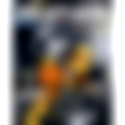 Black Rabbit ๐ฐ photo