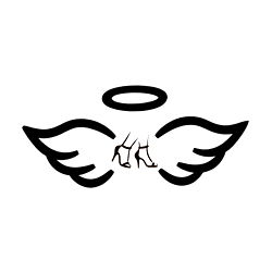 Fans of Angel Arches Model Photos