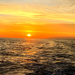 Christian Stevens photo