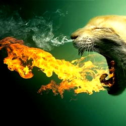 Dylan Stuedemann photo