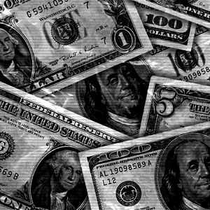 W O L F S H A A photo