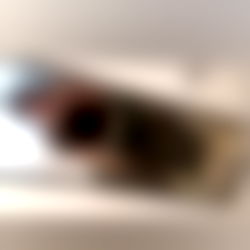 Breanna johnson photo