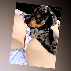 Elska Evette, A Model From OnlyFans