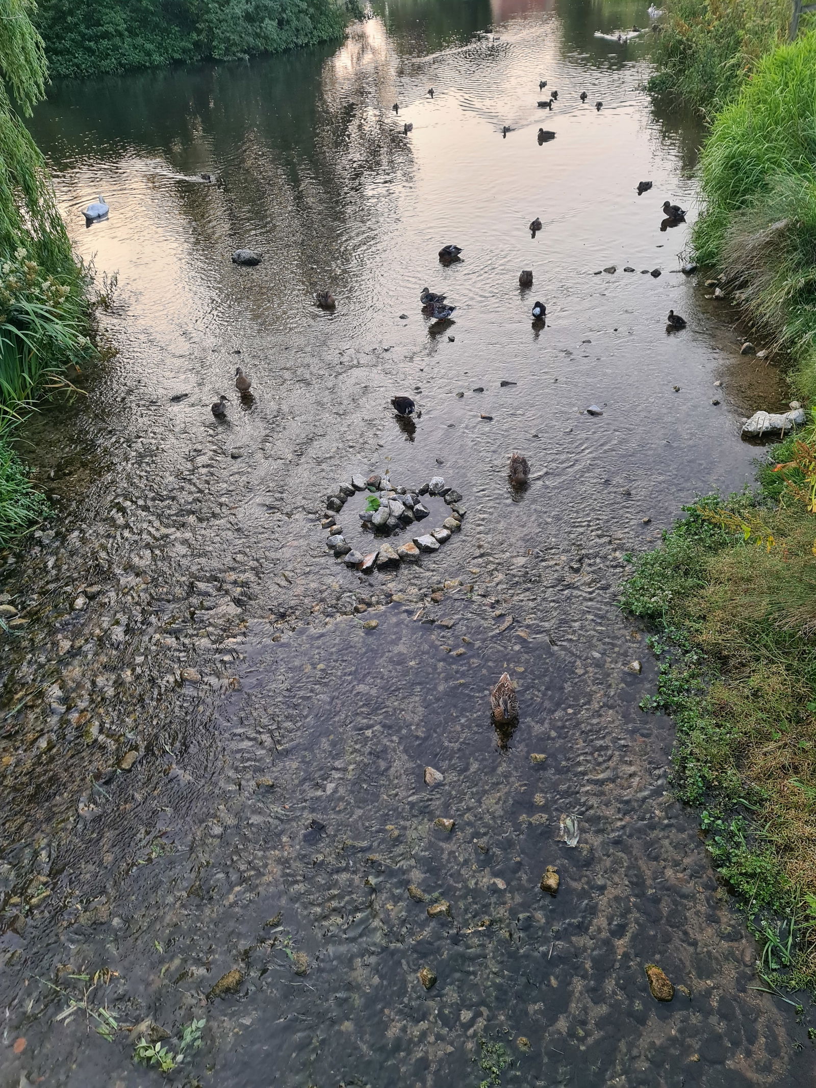 Cristina Boriceanu photo