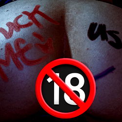 Altlust Collaborations photo