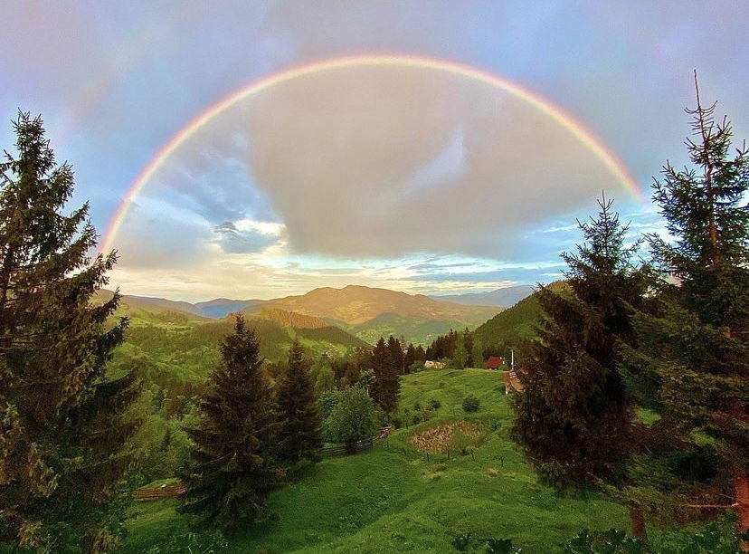 Alexandra Stan photo