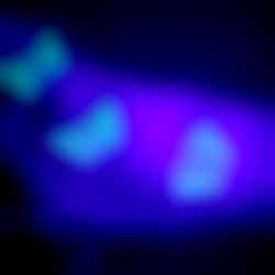 Elite Private Portfolio photo