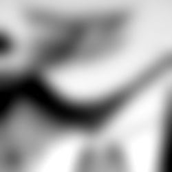 โญ๐ข๐ฉ๐ข๐ฐ๐ฑ๐ข photo