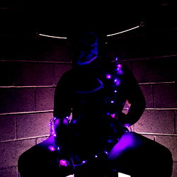 Daring Dobby with Christmas Vibes