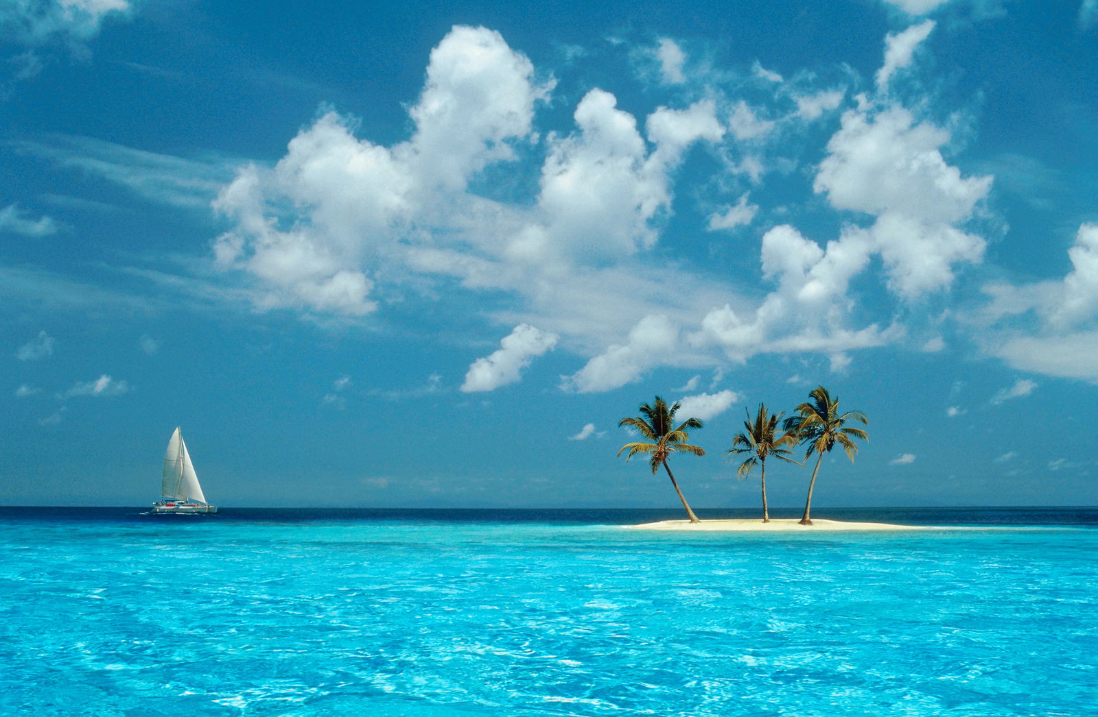 Big Anime Dick photo