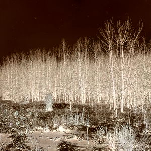 Egar๐บ๐ฆ photo