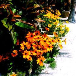 Destinee Harman photo