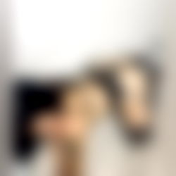 ๐ข๐ธ๐ฏ๐ฒ๐ช ๐ photo