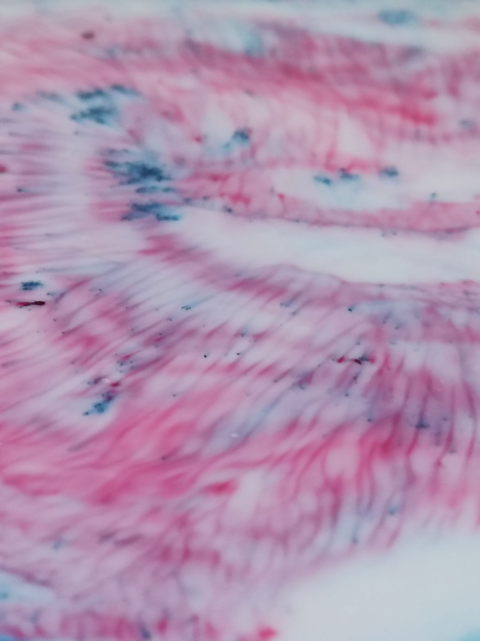 ˚₊‧꒰ა pup ໒꒱ ‧₊˚ photo